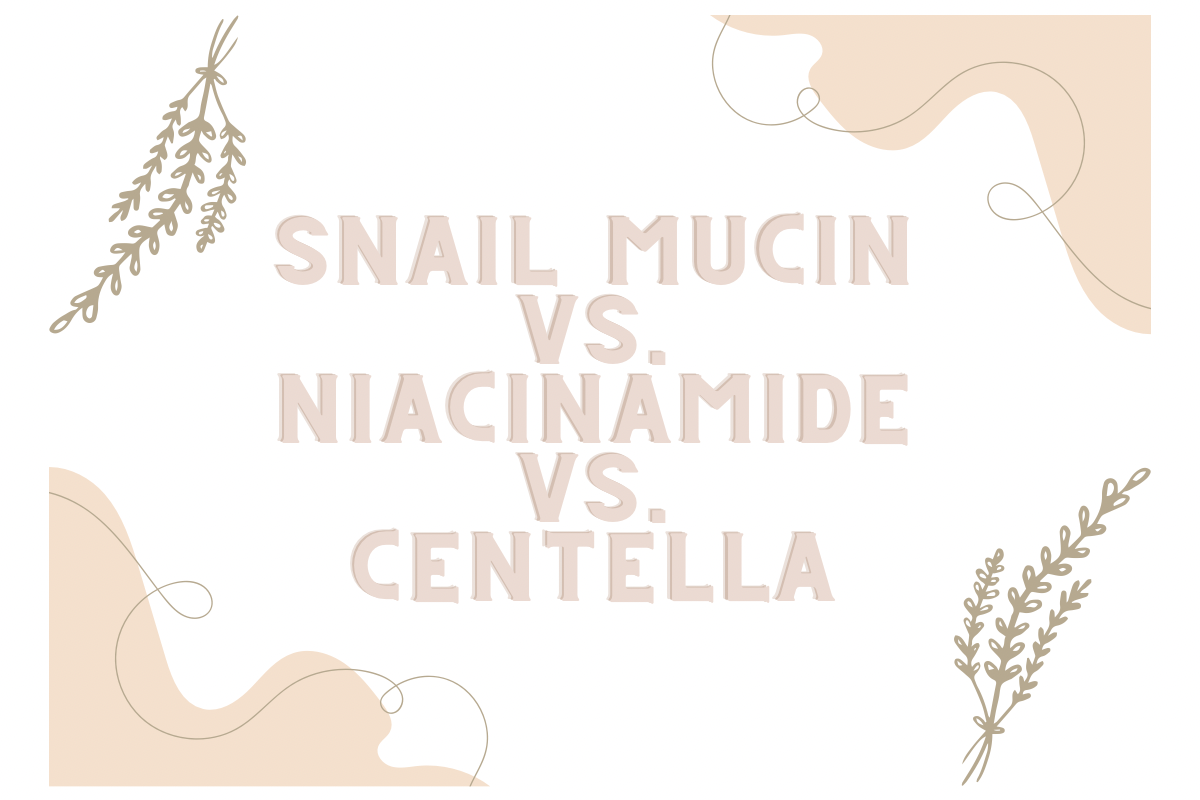 A Guide to Common Korean Beauty Actives: Snail Mucin, Niacinamide, and Centella