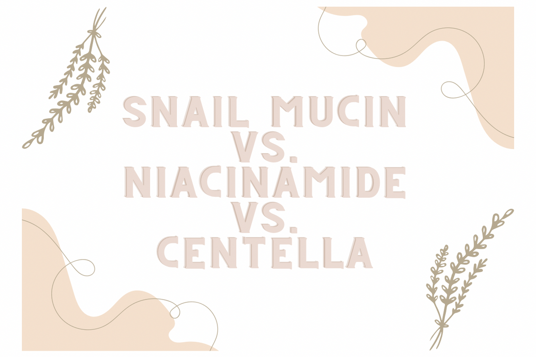 A Guide to Common Korean Beauty Actives: Snail Mucin, Niacinamide, and Centella